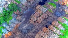 auto_deforestation_in_the_democratic_republic_of_07261141