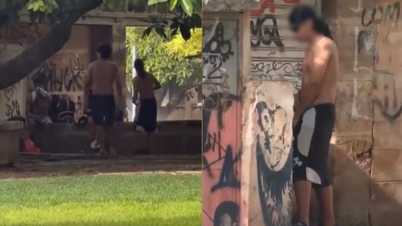 Música a todo volumen, alcohol y necesidades al aire libre: un grupo de colombianos se adueña de un parque de Palma