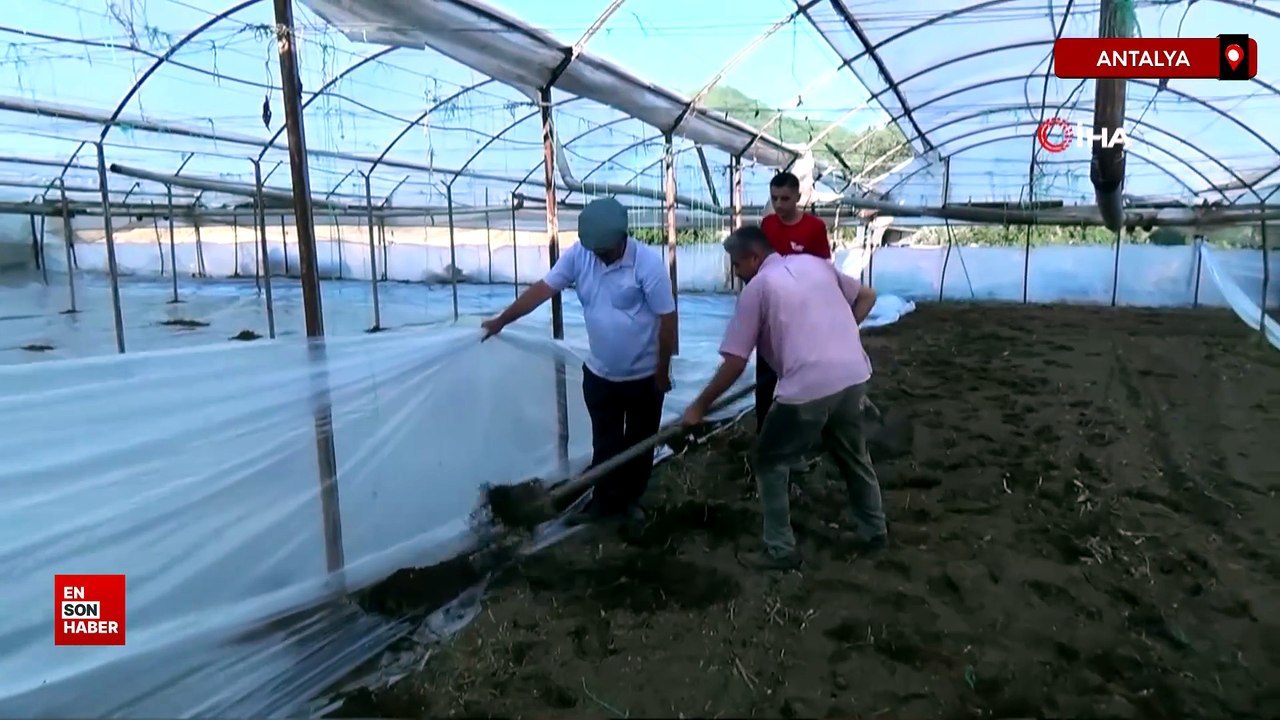 Antalya'da seralarda yeni sezon hazırlığı başladı