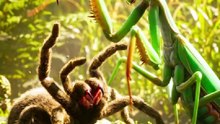 The Game Where EVERY Bug is a Real Player Waiting to Eat You - The Undergrowth