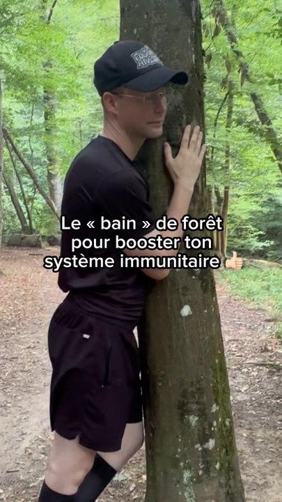 Se balader en forêt booste notre système immunitaire