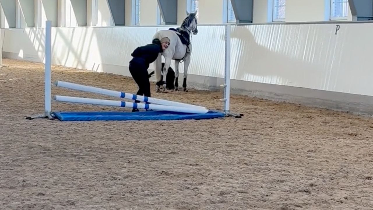 Horse Decides The Riding Lesson Is Over