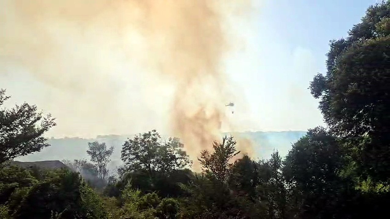 Calabria avvolta dal fuoco, la giornata da incubo di Rizziconi: incendio spento dopo 4 ore