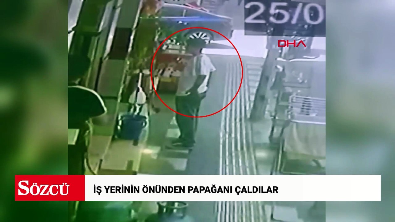 İş yerinin önünden papağanı çaldılar; o anlar kamerada