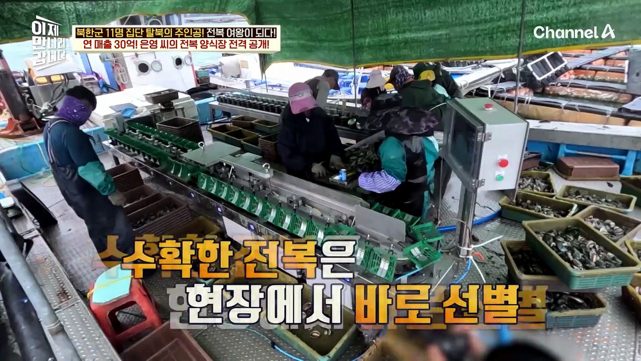 황해도 출신 30억 전복 CEO! 그녀의 전복 양식장 대공개