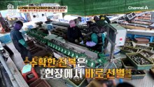 황해도 출신 30억 전복 CEO! 그녀의 전복 양식장 대공개
