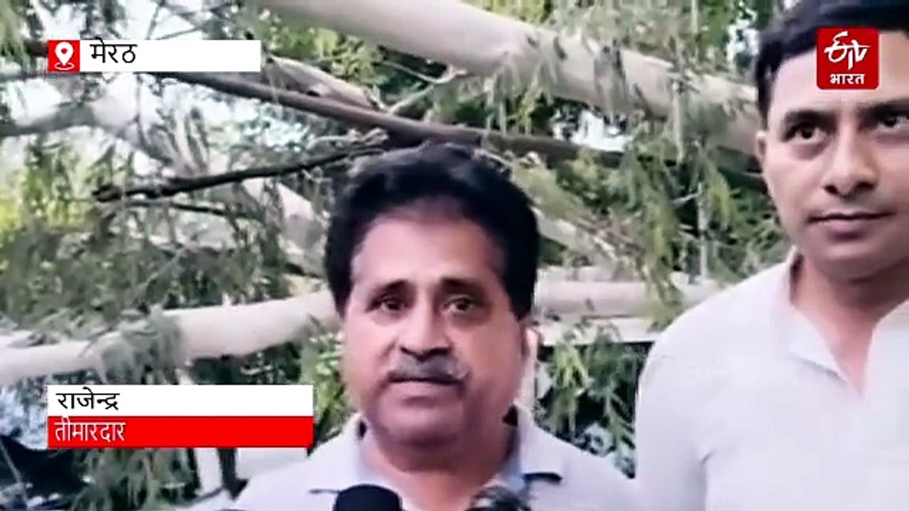 मेरठ के जसवंत राय हॉस्पिटल में गिरा यूकेलिप्टस का पेड़, कई गाड़ियां क्षतिग्रस्त, टला बड़ा हादसा