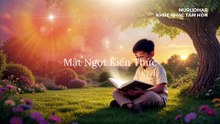 Mật Ngọt Kiến Thức