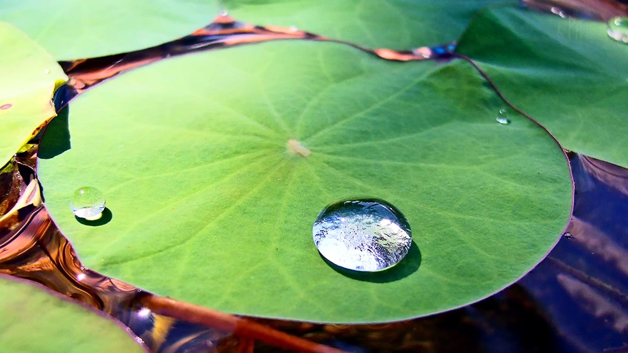 10 Mind-Bending Phenomena That Defy the Laws of Physics