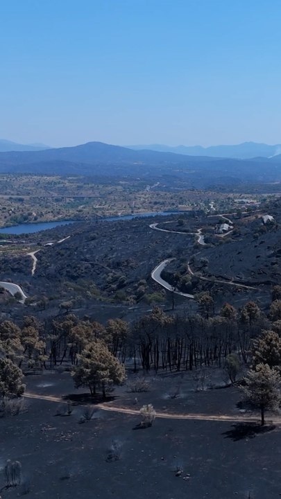 La destrucción del incendio a vista de dron