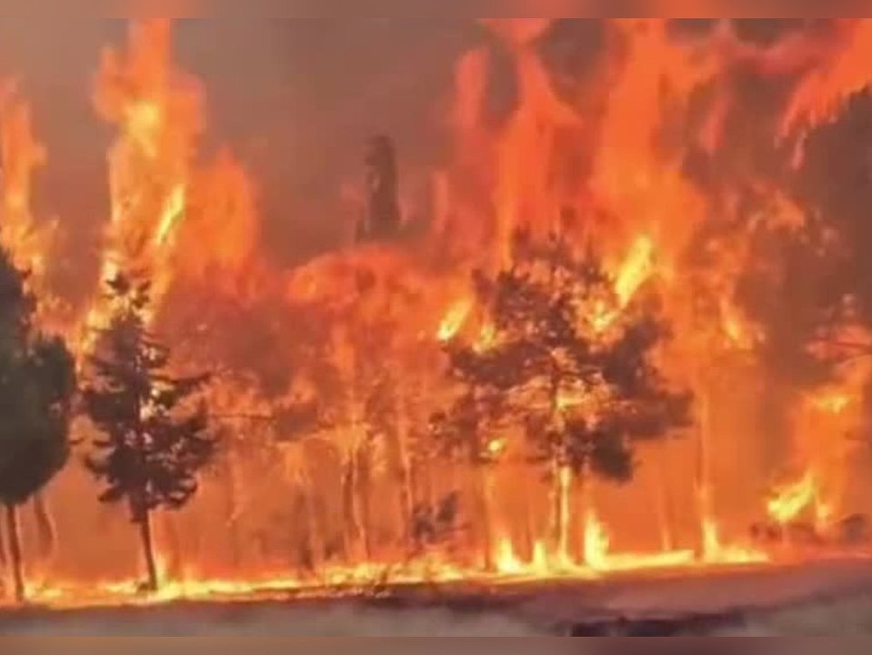 Heftige Waldbrände wüten in Spanien und Frankreich
