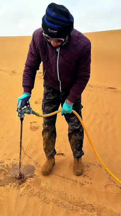 They Planted BILLIONS of Trees to Stop a Desert... And It Worked 😱😳