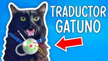 La tecnología para gatos que no sabías que existía