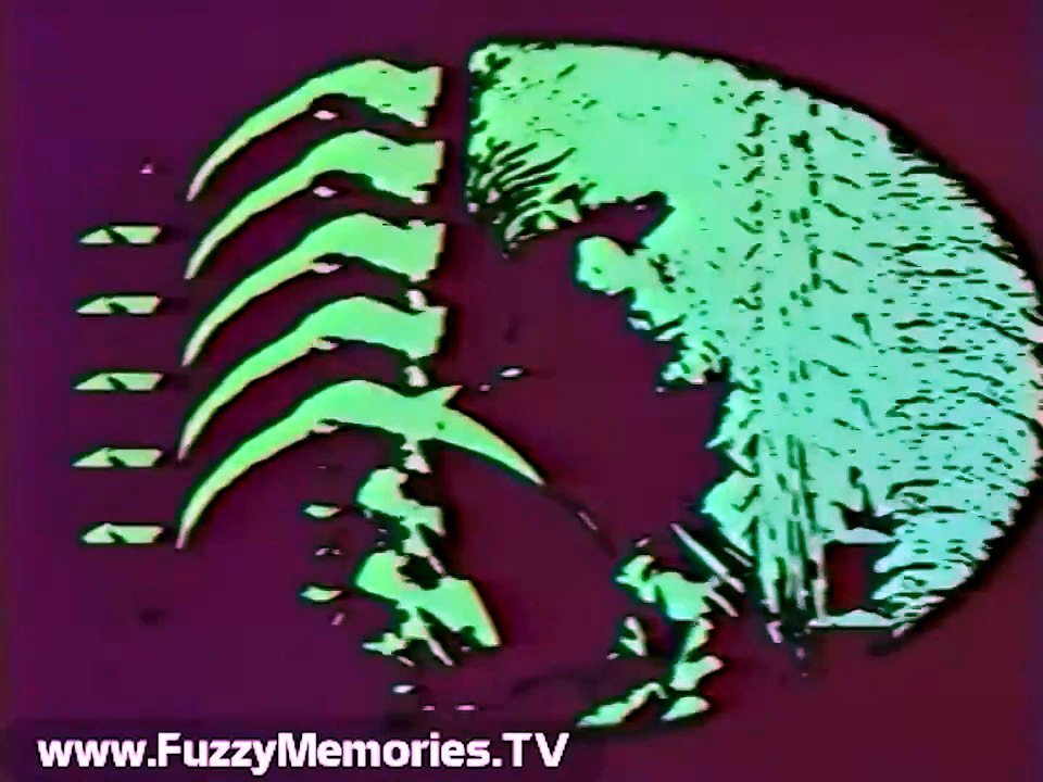 WFLD Channel 32 - Monstrous Movie - "Dracula's Daughter" (Opening & Technical Difficulties, 1983)