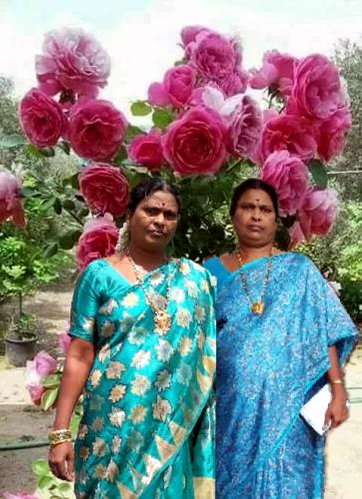 Aaha Sakhi Ee Vaname