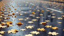 Heavy rain