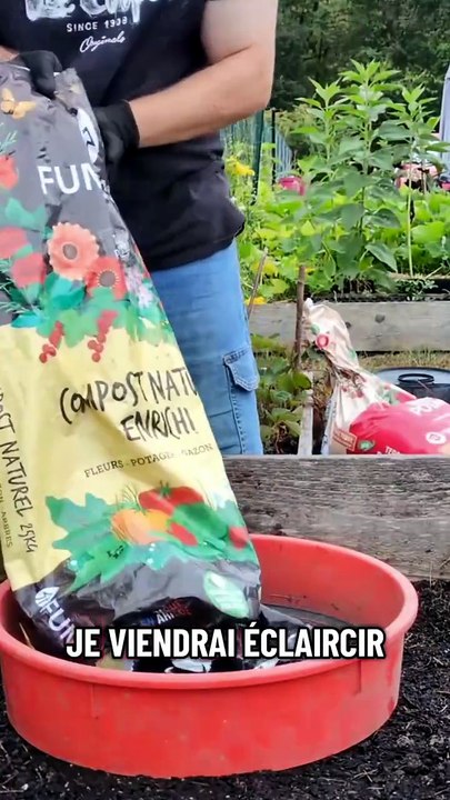 Tu veux réussir tes semis de carottes du premie...