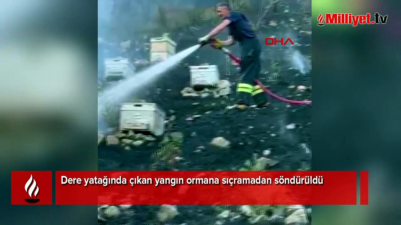 Dere yatağında çıkan yangın ormana sıçramadan söndürüldü