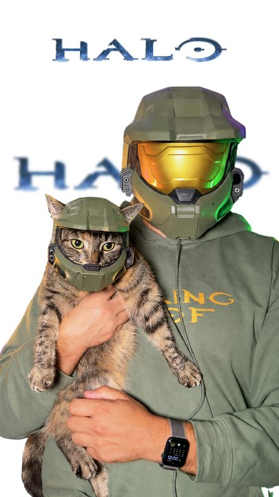 MASTER CAT