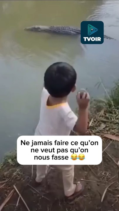 Il ne s’y attendait pas le pauvre ! 😂🐊