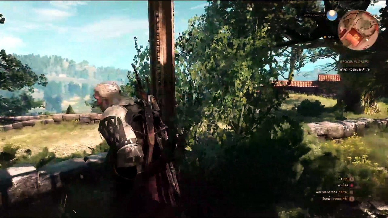 THE WITCHER 3 GAMEPLAY PART 47