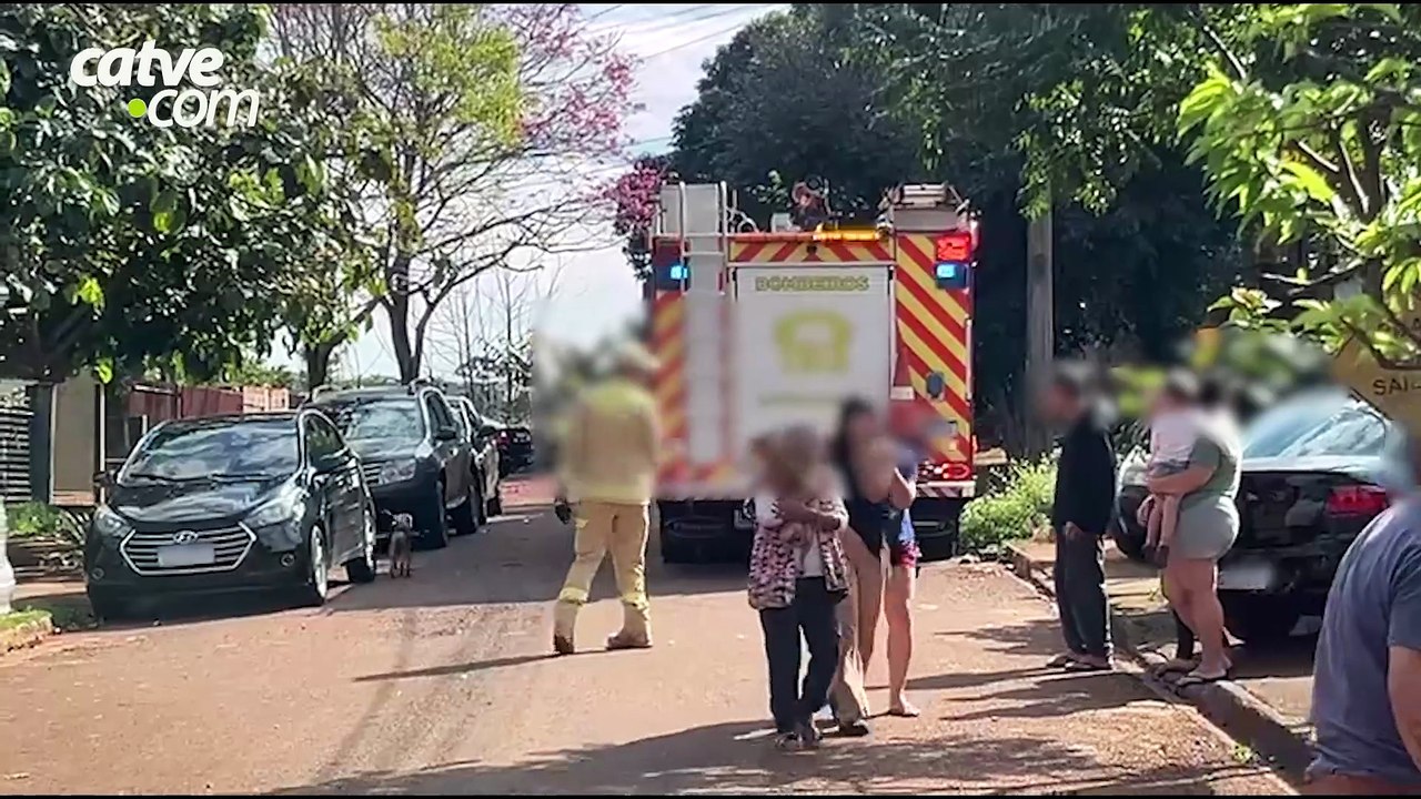 Gato preso entre telhado e caibro é resgatado pelos bombeiros em Cascavel
