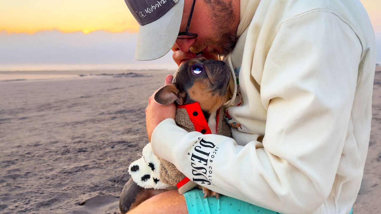 After Years In A Cage, All This Frenchie Wants Dad