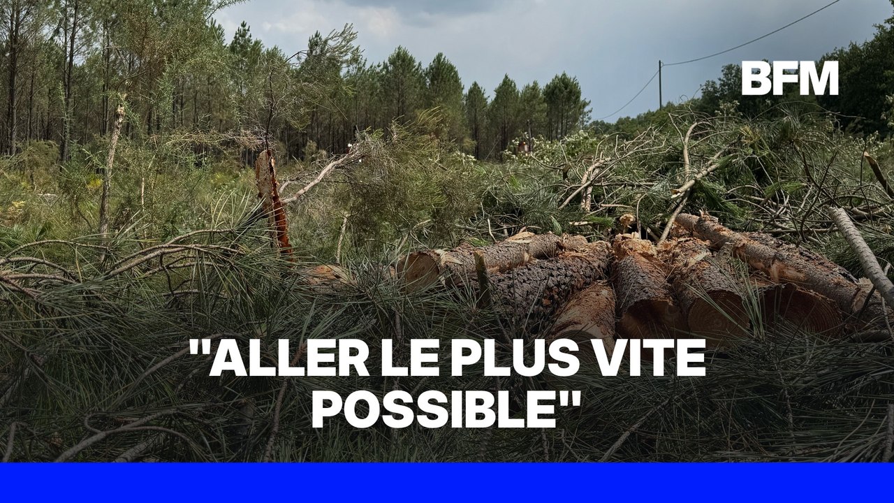 ROBIN DE BFM - Ils créent des pare-feux en urgence pour freiner la propagation de l'incendie