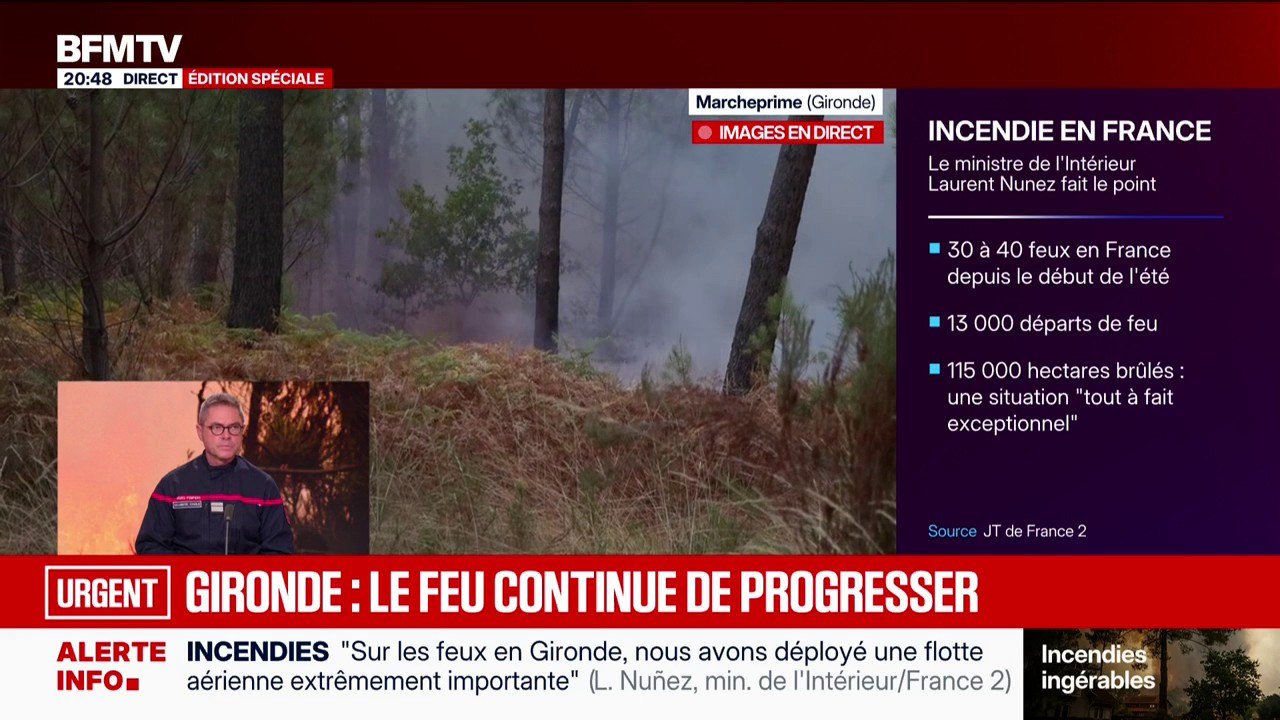 Incendies en France: "115.000 hectares ont été parcourus" par les flammes depuis le début de l'année, annonce Laurent Nuñez