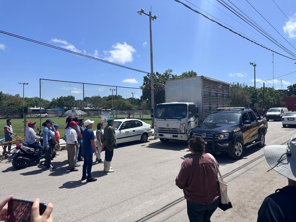 Comunidad Maya de Molas Protesta contra Granjas y Transportes de Cerdos y contra Inmobiliarias