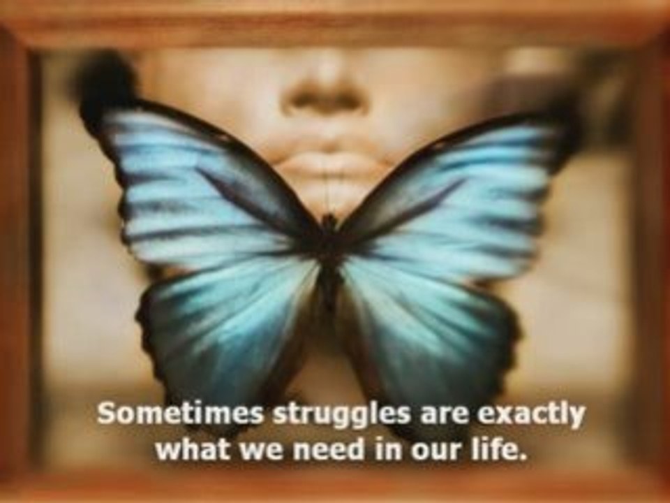 Cocoon