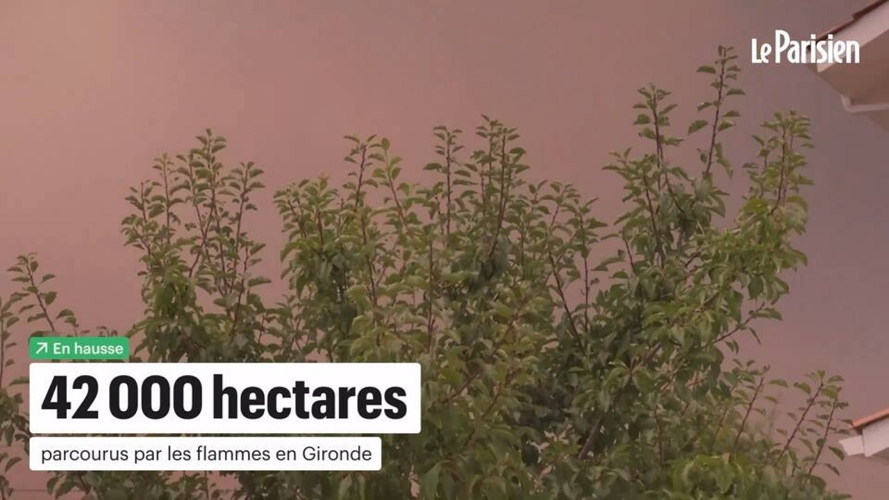 Feux dans le Sud-Ouest : à Cestas, avec ces habitants qui veulent sauver leur maison coûte que coûte