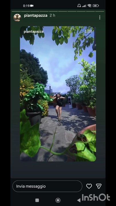 Pianta pazza story gli scherzi