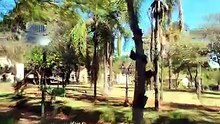 ENCONTREI DINOSSAUROS GIGANTES EM MINAS GERAIS