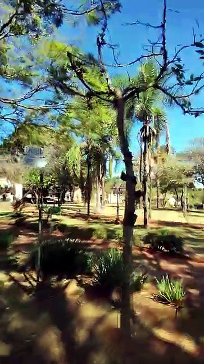 ENCONTREI DINOSSAUROS GIGANTES EM MINAS GERAIS