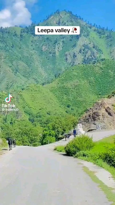 Kashmir