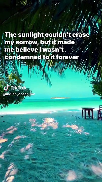 The sunlight couldn't erase my sorrow, but it made me believe I wasn't condemned to it forever