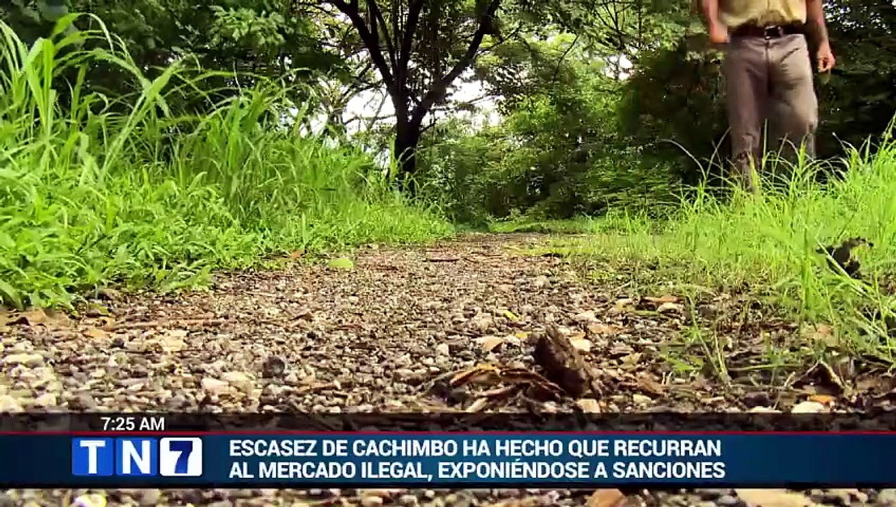 tn7-santa-cruz-crea-santuario-forestal-para-pro...