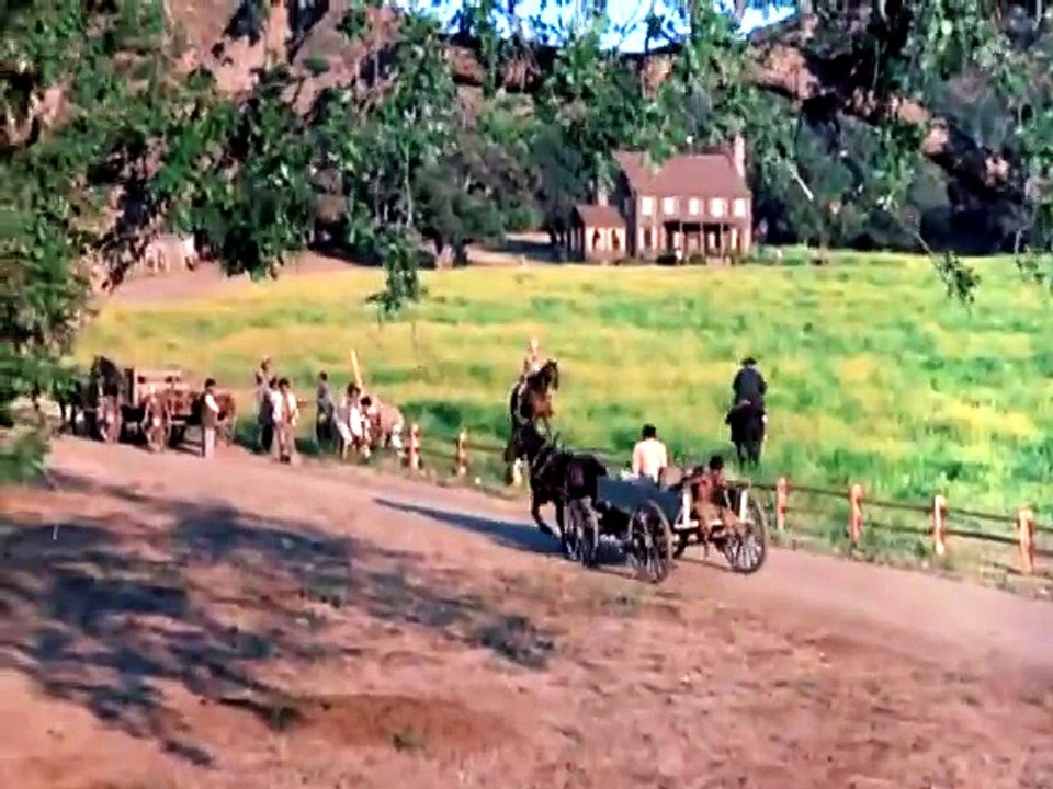 ROOTS (1977)