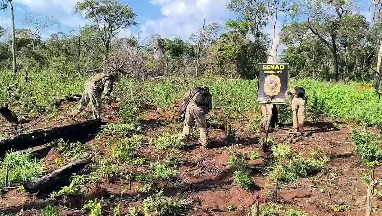 Bella Vista Norte