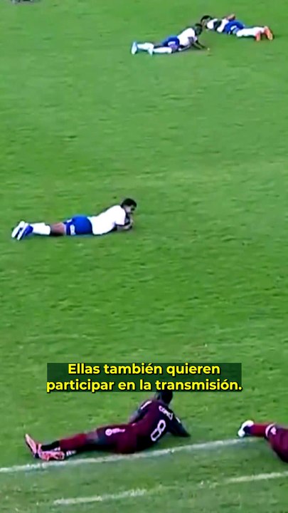 EJAMBRE DE ABEJA INTERRUMPE PARTIDO DE FÚTBOL