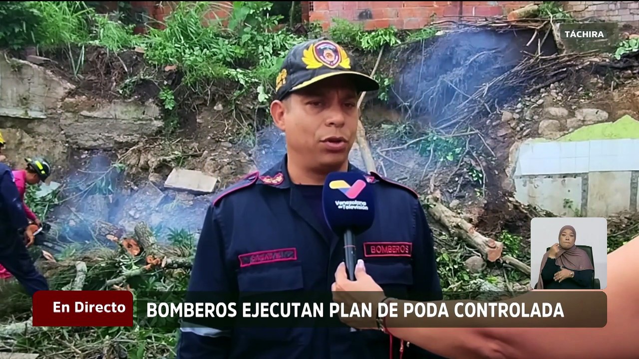Despliegan labores de poda y tala preventiva en Táchira para mitigar riesgos por precipitaciones