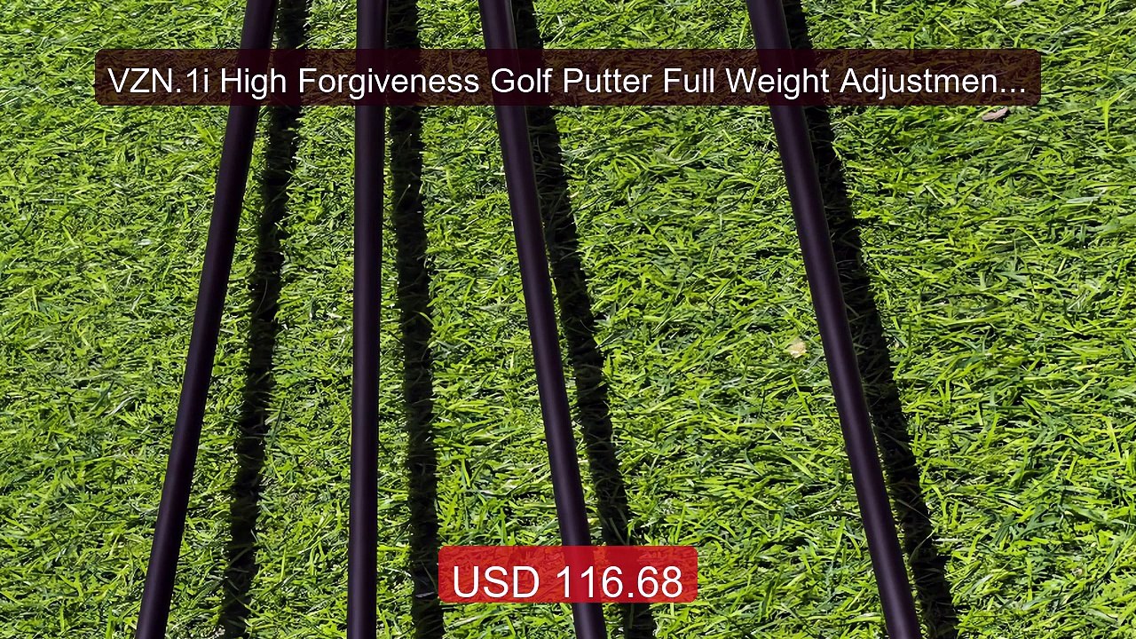 VZN.1i High Forgiveness Golf Putter Full Weight Adjustment Hollow D... -- Top Rated 2026 | Buy Now!