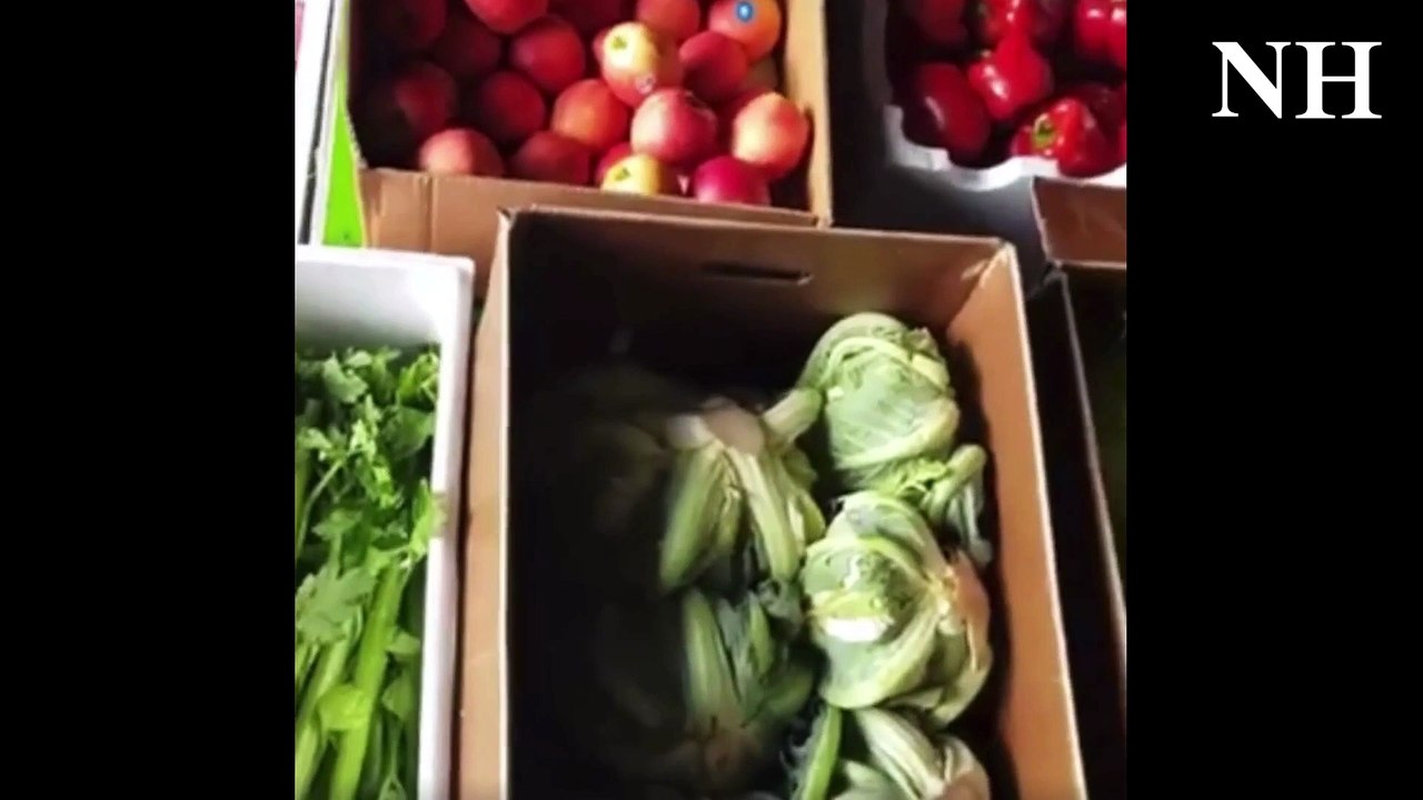 Thornton neighborhood food hub