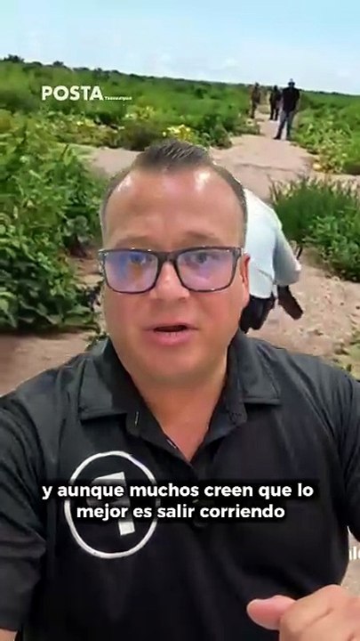 Abejas