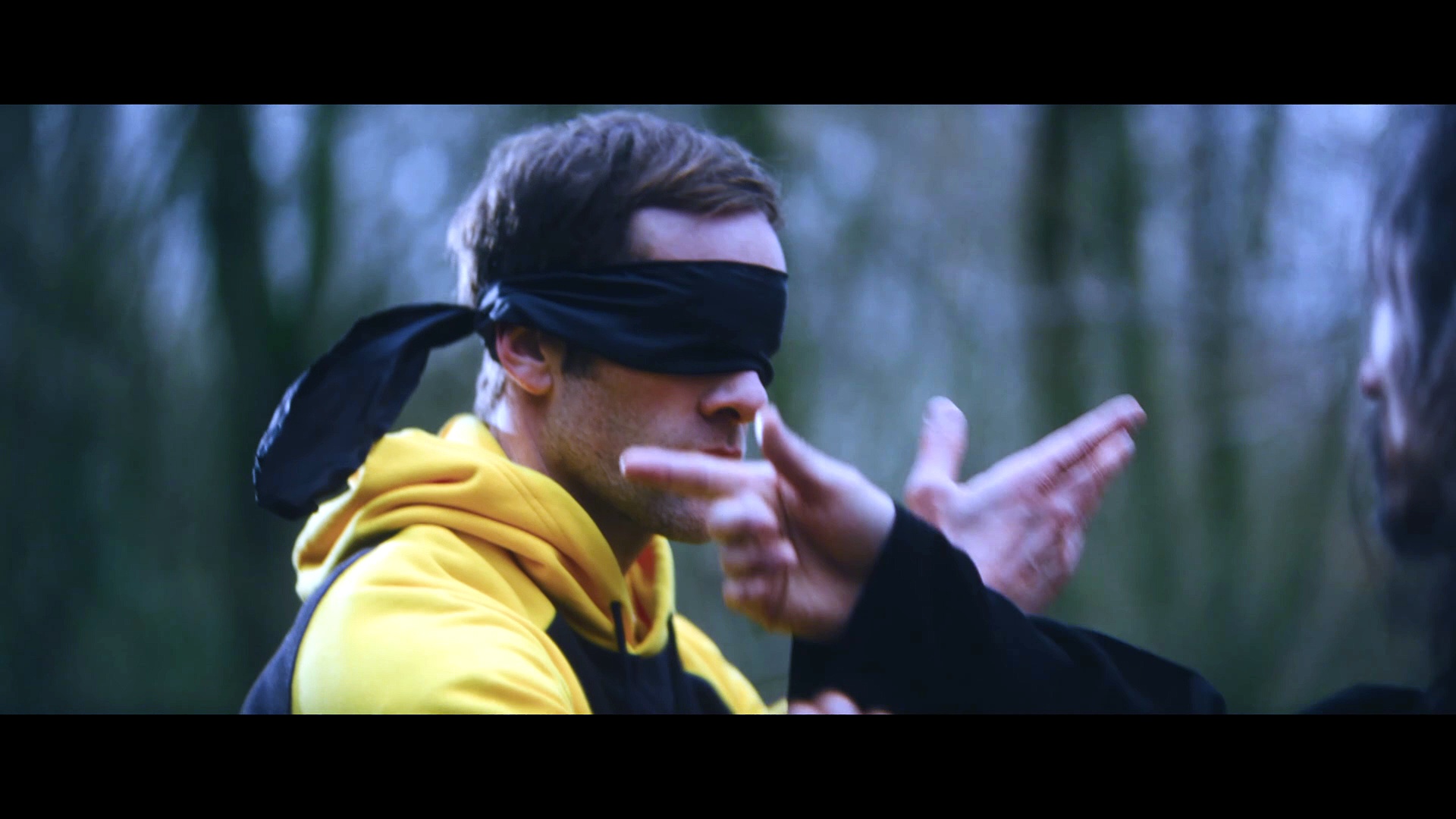 Lion Fist Movie