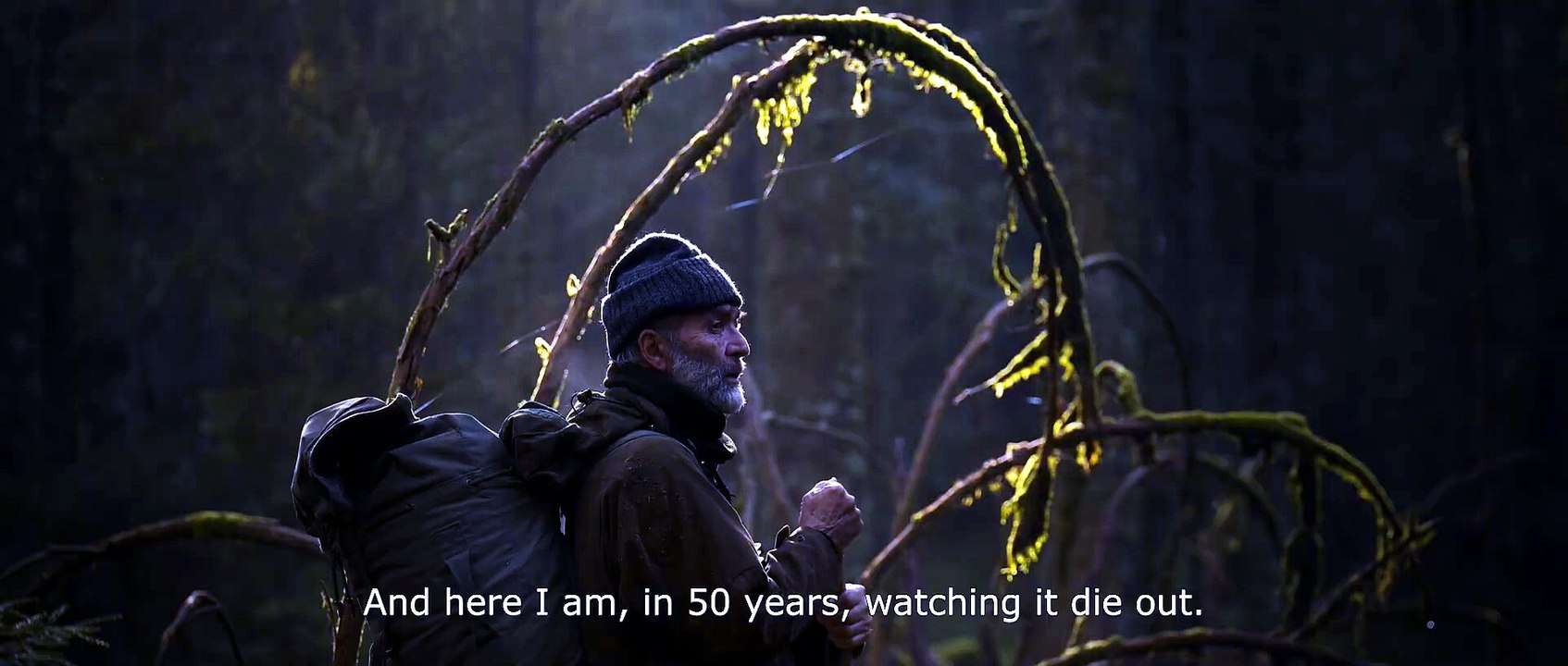 Whispers In The Woods Trailer