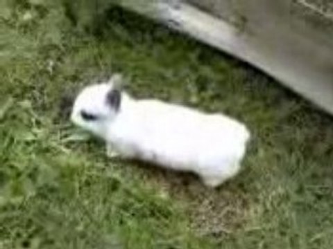 les premiers pas dehors