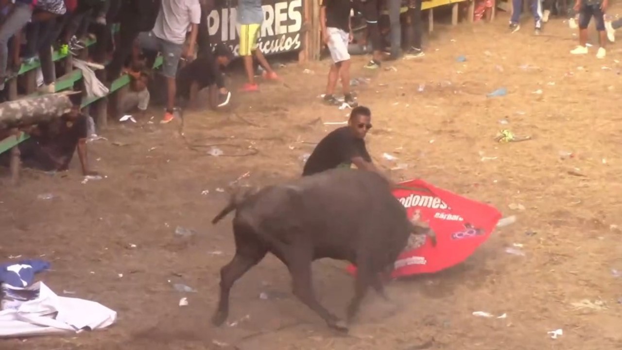 Corralejas Santa Ana 2026 | Toros de Carlos González (Tarde Ganadora)
