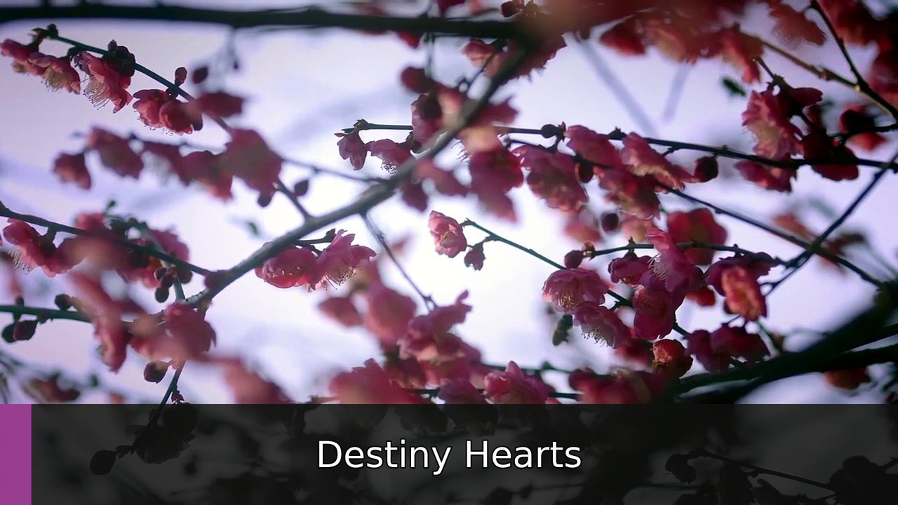 Falling Before Fireworks Episode 1 I FULL MOVIES ENGLISH SUB | Destiny Hearts